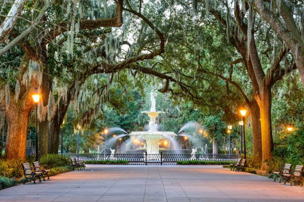 Cosmetic Dentist In Historic District Savannah Georgia GA Cosmetic Dentist In Historic District Savannah Georgia GA