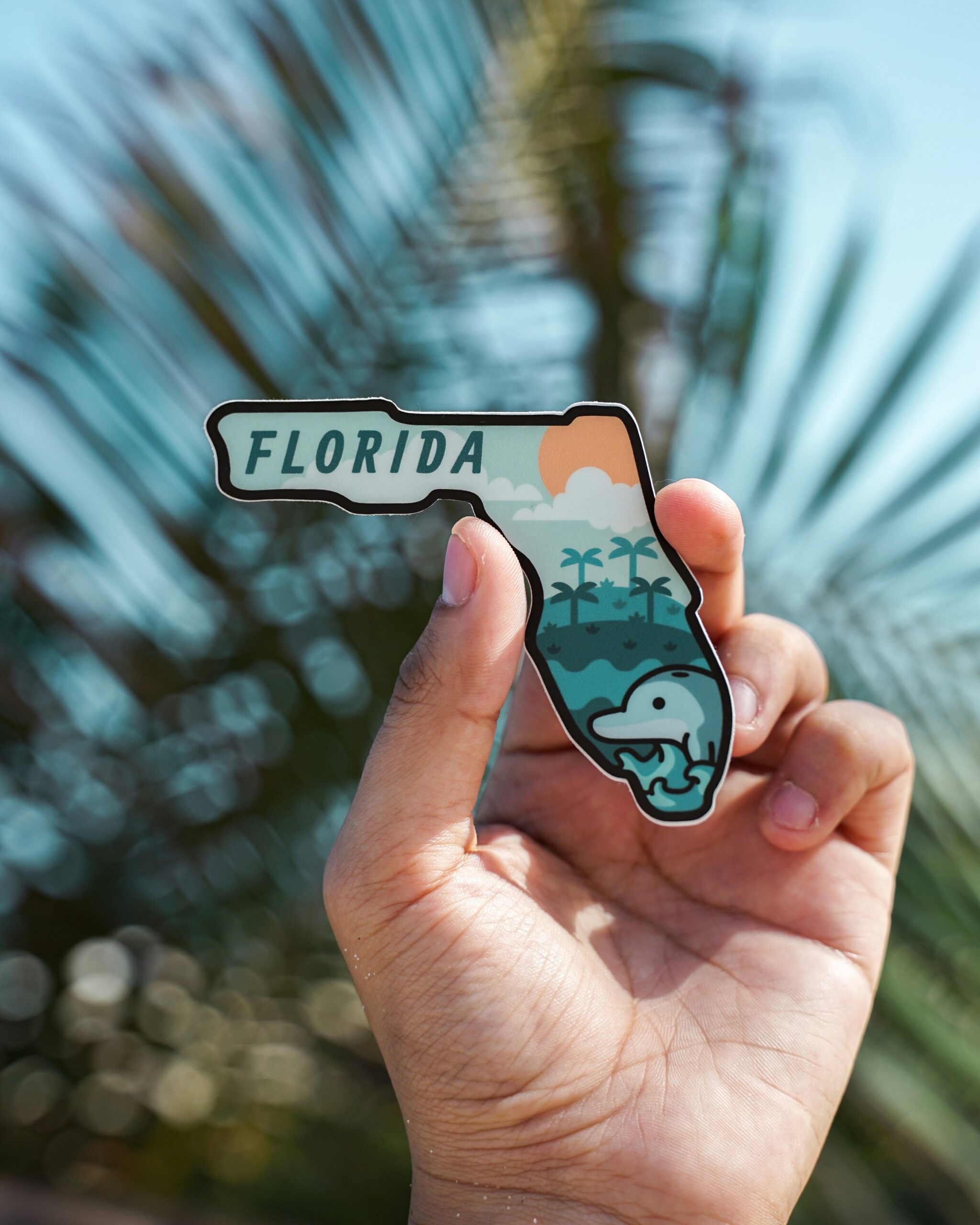 Cosmetic Dentist In Historic Kenwood  St Petersburg Florida Fla FL