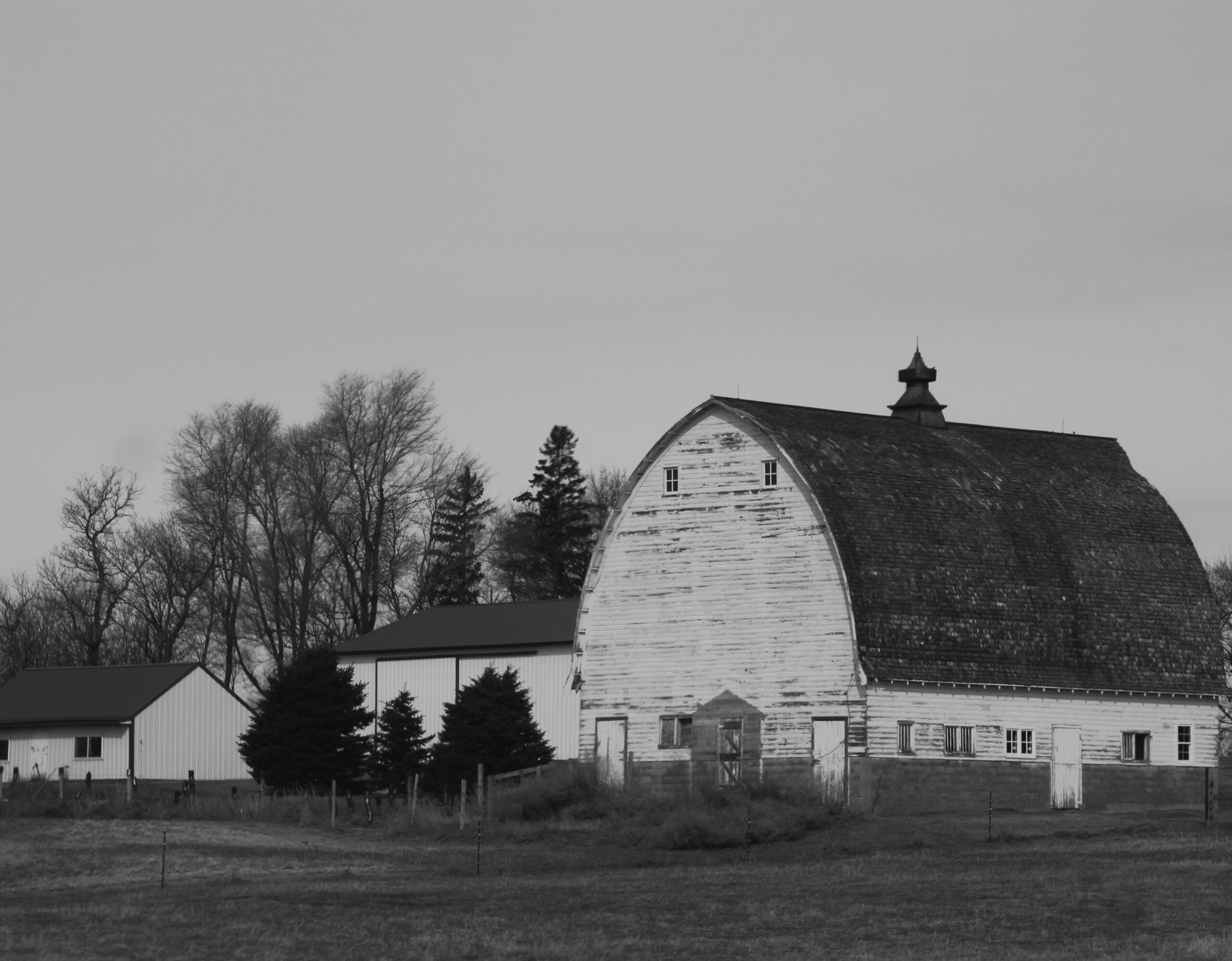 Cosmetic Dentist In North End St Paul Minnesota Minn MN