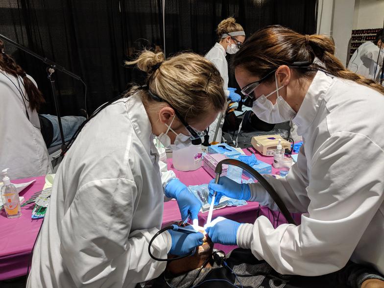 Cosmetic Dentist In Park Place Norfolk Virginia VA