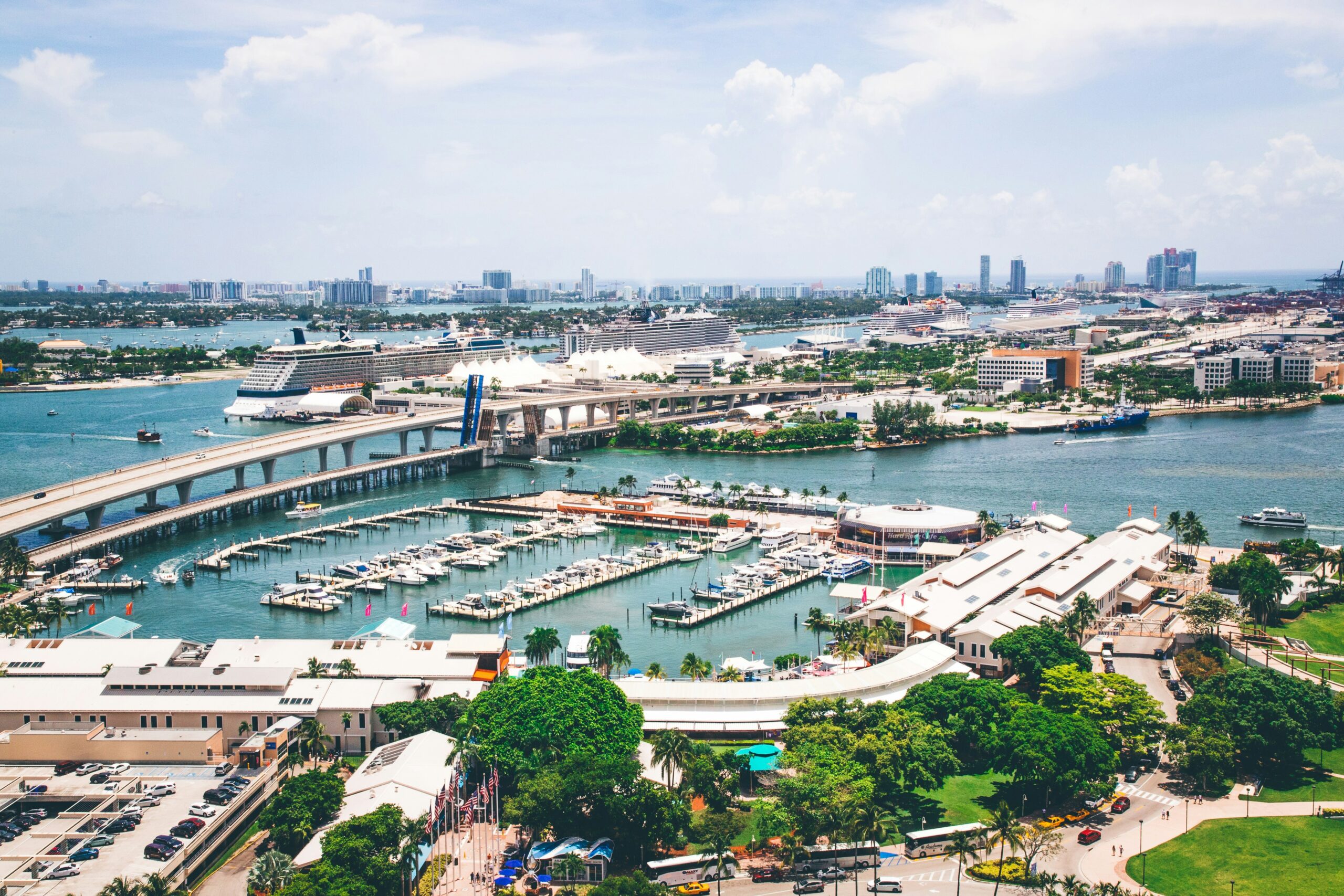 Cosmetic Dentist In Wynwood Miami Florida Fla FL Cosmetic Dentist In Wynwood Miami Florida Fla FL