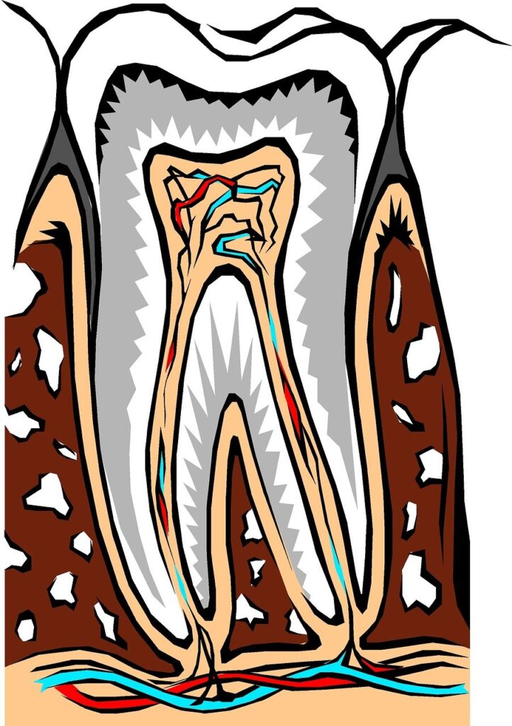 The Impact Of Cosmetic Dentistry On Oral Health The Impact Of Cosmetic Dentistry On Oral Health