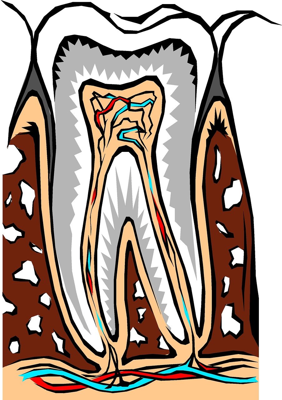 A Day In The Life Of A Cosmetic Dentist A Day In The Life Of A Cosmetic Dentist