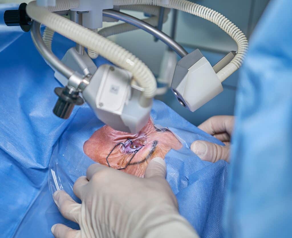 The Journey From Plastic Surgeon To Cosmetic Surgeon The Journey From Plastic Surgeon To Cosmetic Surgeon