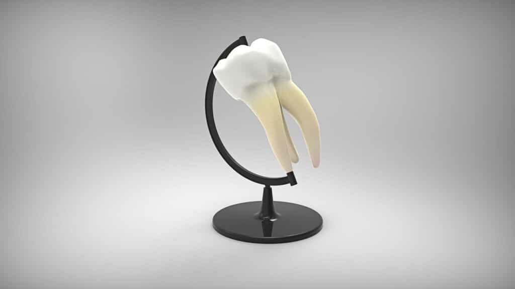 The Role Of Cosmetic Dentists In Preventive Dentistry