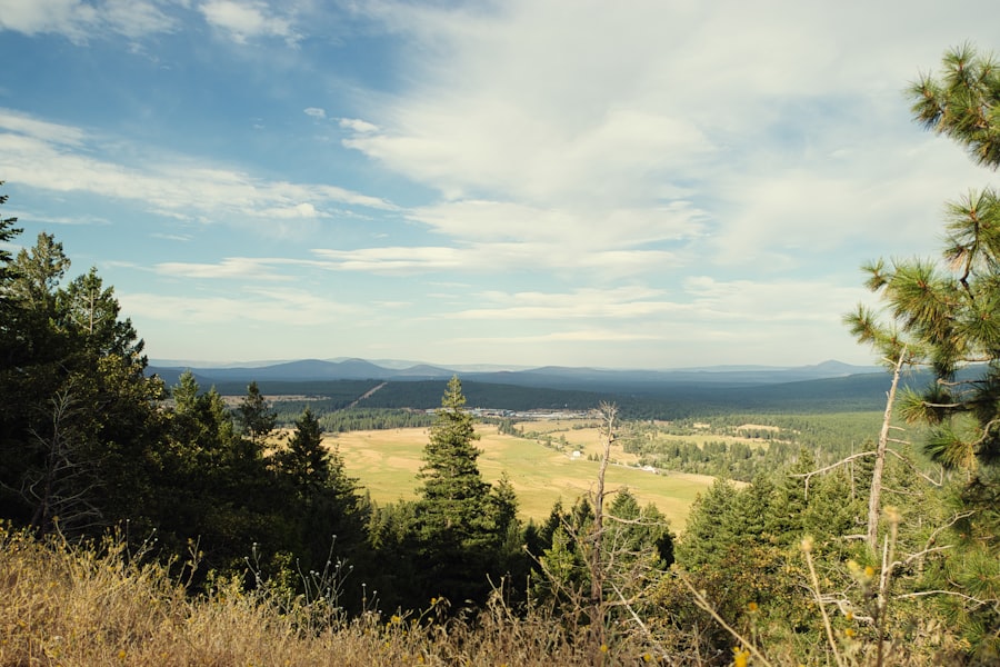 Veneers Bend Oregon