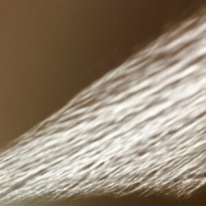 Photo Aftercare Routine for Laser Whitening